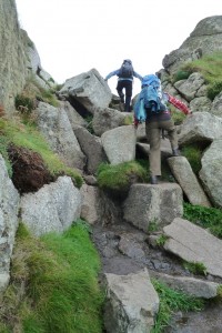 20120920-224155.jpg