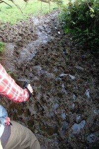 20120927-231117.jpg
