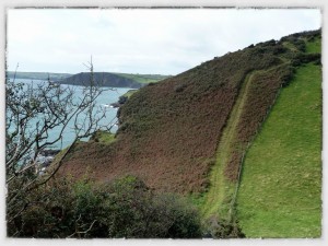 20121003-233414.jpg