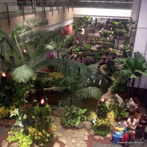 weltreise-2013-05-philippinen-00-stopover-singapur_3-IMG_1244 Flughafen Singapur: Botanischer Garten