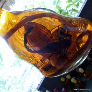 Wer möchte einen Schnapps? Schnapps mit Schlange und Skorpion gab es fast überall zu kaufen. Habe aber keine Ahnung, ob das tatsächlich auch von Einheimischen getrunken wird oder speziell für Touristen ist.
