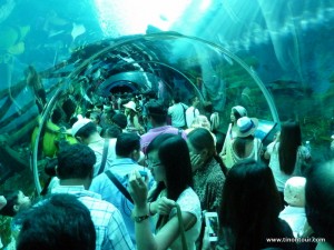 Es ist definitiv voll im Aquarium auf Sentosa - aber meiner Meinung nach auf jeden Fall ein Besuch wert.