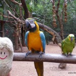 weltreise-2013-20-brasilien-06-iguazu-wasserfaelle_14-P1010313