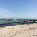 14-IMG_8072