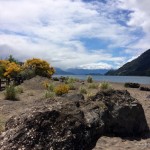 suedamerika-chile-2015-03-puerto-varas_24-IMG_0647